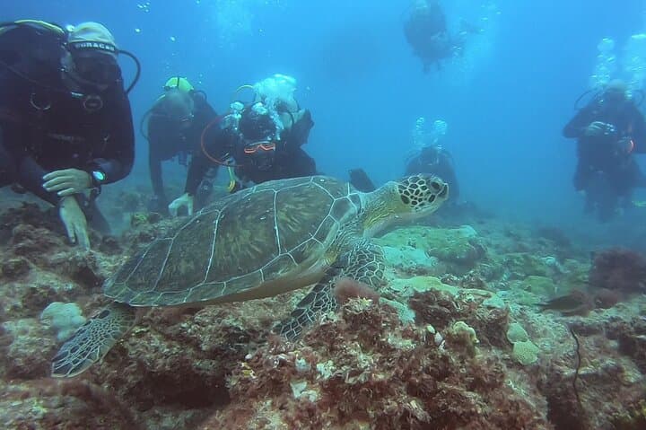 Sal Island Try Dive: First Diving Experience for Beginners