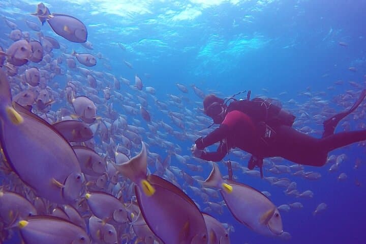 Sal Island Try Dive: First Diving Experience for Beginners photo 3