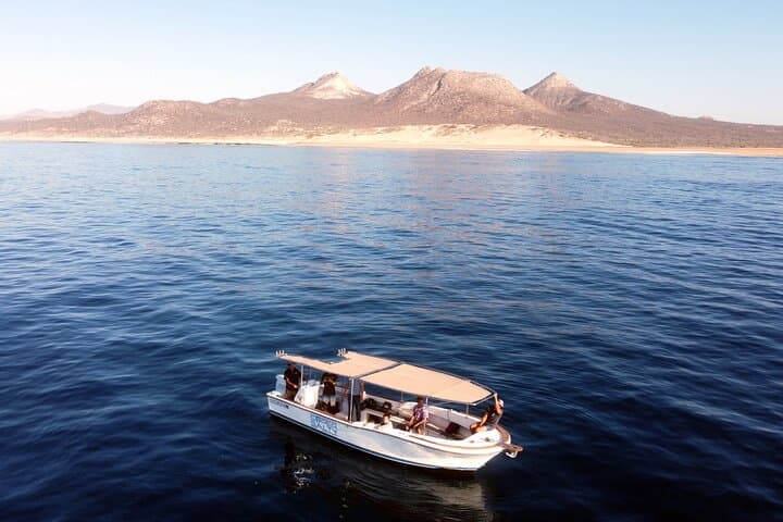 Private Snorkeling Boat Tour in San José del Cabo — Explore Undiscovered Reefs photo 2