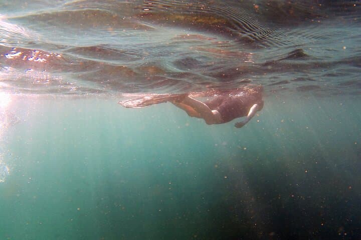 Private Snorkeling Boat Tour in San José del Cabo — Explore Undiscovered Reefs photo 4