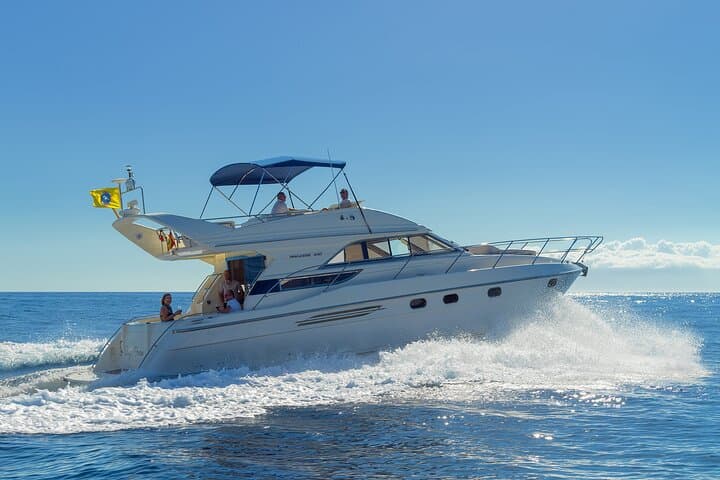 Luxury Yacht Whale & Dolphin Watching from Las Galletas, Tenerife