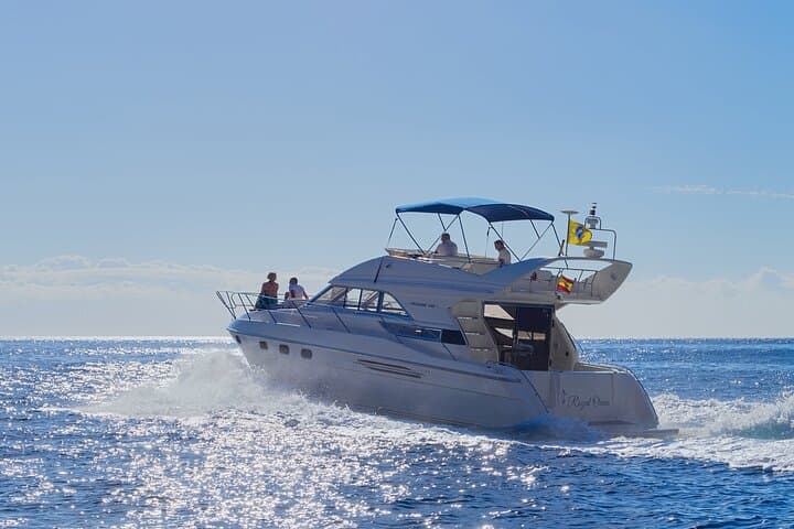 Luxury Yacht Whale & Dolphin Watching from Las Galletas, Tenerife photo 2