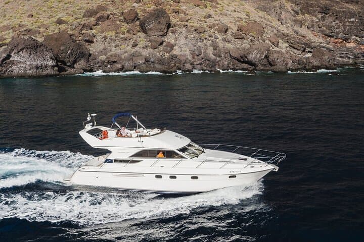 Luxury Yacht Whale & Dolphin Watching from Las Galletas, Tenerife photo 3