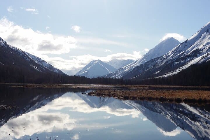 Anchorage to Whittier Private Tour & Cruise Transfer along Turnagain Arm photo 6