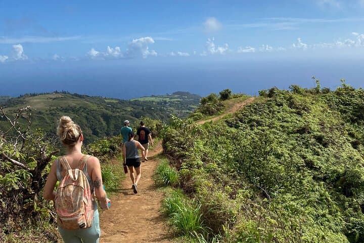 Amazing Maui Ridge Hike — Waihee Ridge Trail Guide photo 4