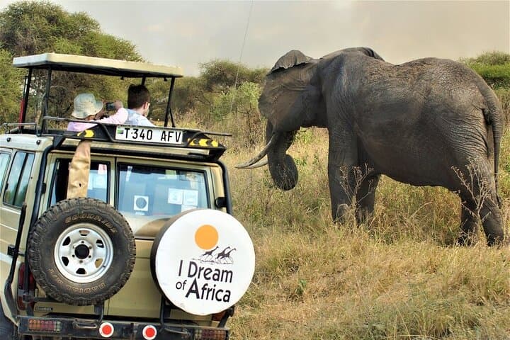 10-Day Tanzania Comfort Camping Safari: Serengeti, Ngorongoro & Tarangire