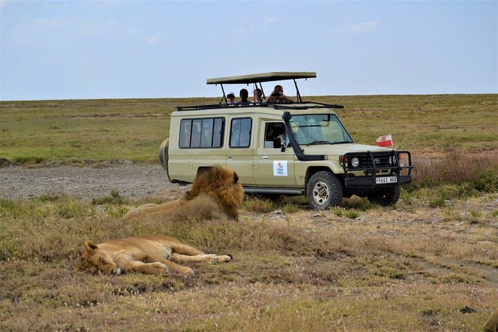 7-Day North Tanzania Classic Safari — Serengeti, Ngorongoro & Tarangire in One Week