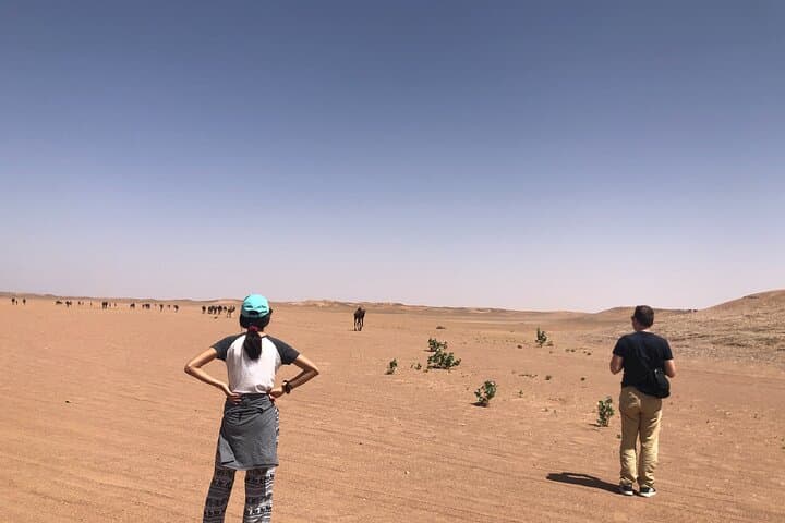 Two-Day Erg Chegaga Desert Tour from Mhamid — 4x4, Camel Ride & Camp photo 5