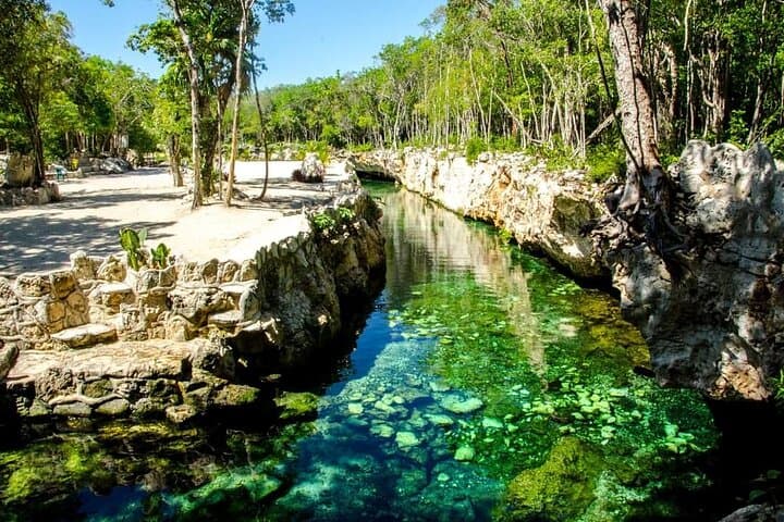 Riviera Maya Cenote Circuit: Swim Five Magical Cenotes in One Day photo 2