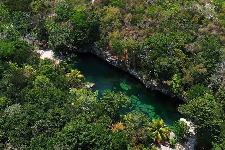 Riviera Maya Cenote Circuit: Swim Five Magical Cenotes in One Day photo 3