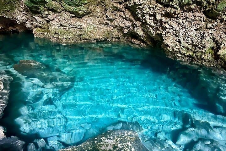 Zanzibar Full-Day Combo: Jozani Forest, Kuza Cave, Paje Beach & Salaam Cave photo 4