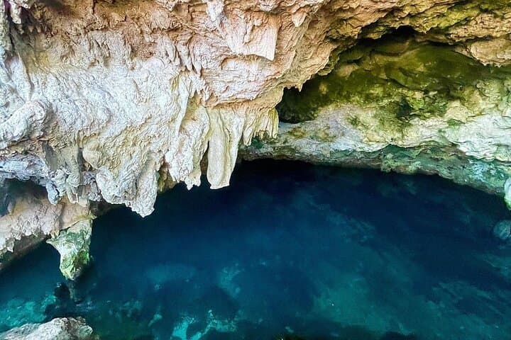 Zanzibar Full-Day Combo: Jozani Forest, Kuza Cave, Paje Beach & Salaam Cave photo 5