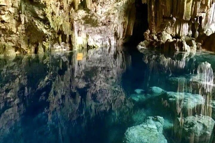 Zanzibar Full-Day Combo: Jozani Forest, Kuza Cave, Paje Beach & Salaam Cave photo 6