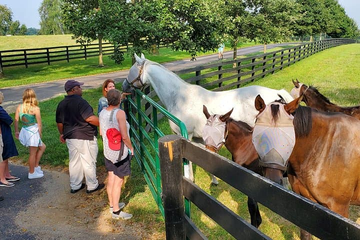 Lexington Full-Day Horse Farm Tour with Clay Pigeon Shooting photo 4