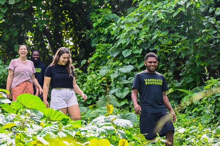 Discovery Bush Walk from Port Vila: Half-Day Guided Nature & Village Walk photo 2