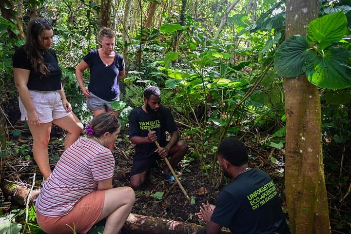 Discovery Bush Walk from Port Vila: Half-Day Guided Nature & Village Walk photo 4