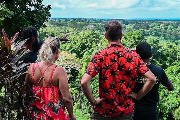 Discovery Bush Walk from Port Vila: Half-Day Guided Nature & Village Walk