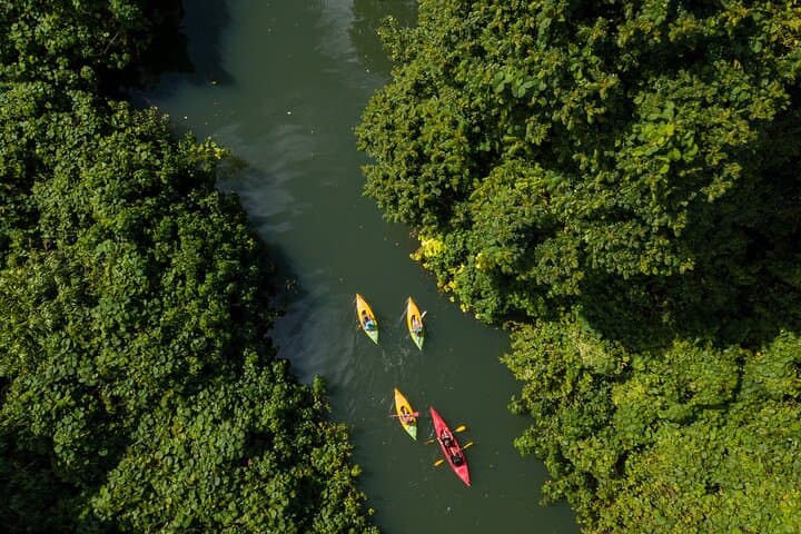 Rentapao River Kayak Tour from Port Vila — Family-Friendly Rainforest Paddle photo 2