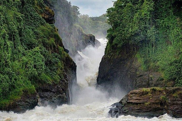 3-Day Private Safari to Murchison Falls National Park: Game Drives, Nile Boat Cruise & Rhino Trek