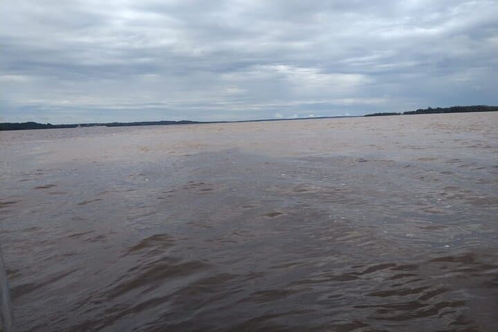 Overnight at Juma Lake Lodge: 2-Day Amazon Canoe, Wildlife & Jungle Trek photo 5