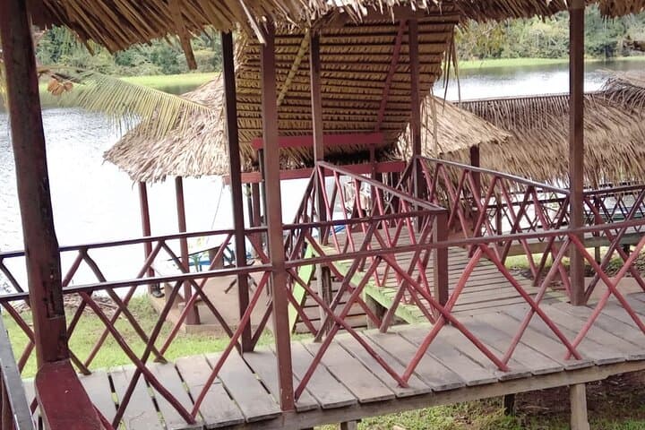 Overnight at Juma Lake Lodge: 2-Day Amazon Canoe, Wildlife & Jungle Trek photo 6