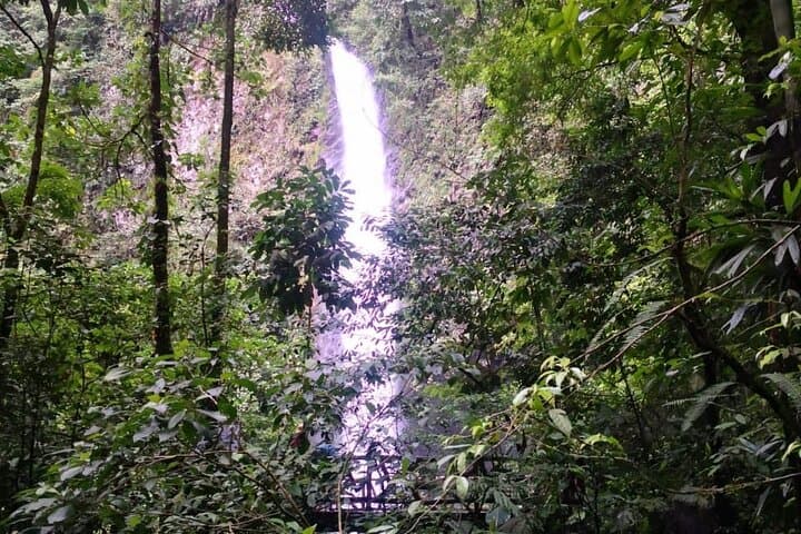 La Fortuna Waterfall Hike & Maleku Reserve Day Trip from San José photo 6