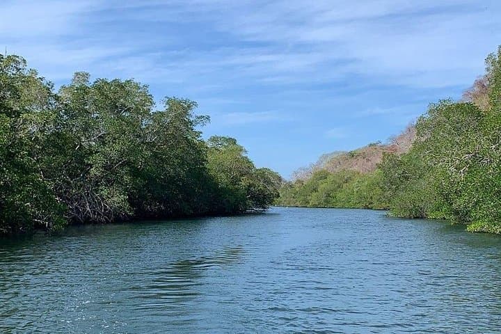 Tortuguero National Park Day Trip from San José — Rainforest Canals & Turtle Nesting photo 5