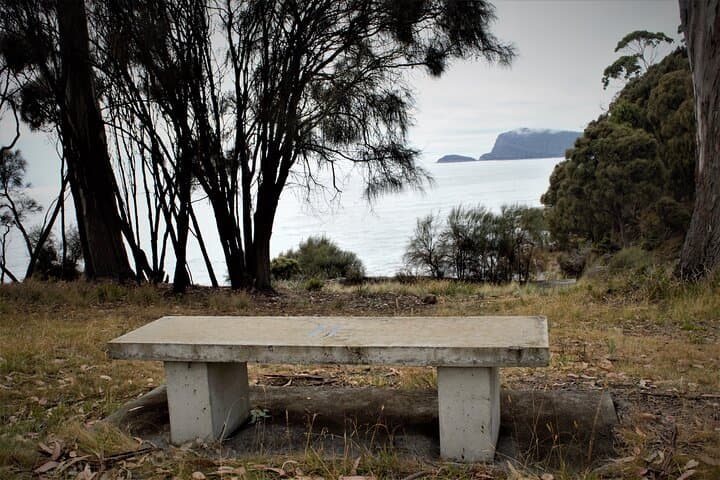 Bruny Island Discovery: Private Day Tour from Hobart with Oysters, Cheese & Coastal Walks photo 4