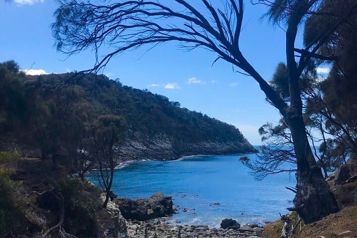 Bruny Island Discovery: Private Day Tour from Hobart with Oysters, Cheese & Coastal Walks photo 6