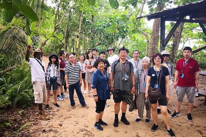 Cahuita National Park Half-Day Wildlife Hike — Sloths, Monkeys & Coral Reef photo 4