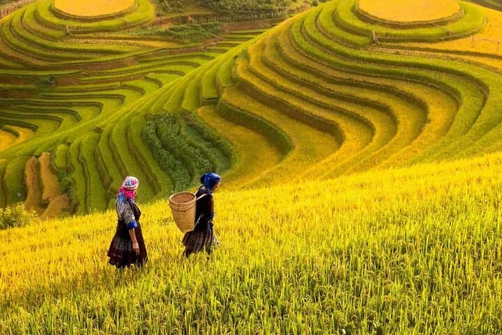 Sapa 2-Day Easy Trek: Muong Hoa Valley Trek & Homestay Experience photo 2