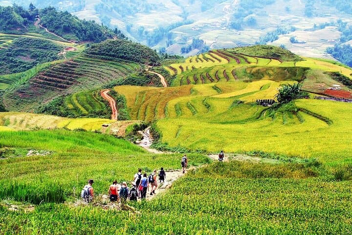 Sapa 2-Day Easy Trek: Muong Hoa Valley Trek & Homestay Experience photo 3