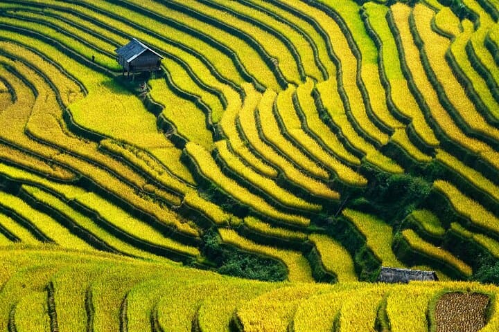 Sapa 2-Day Easy Trek: Muong Hoa Valley Trek & Homestay Experience photo 4