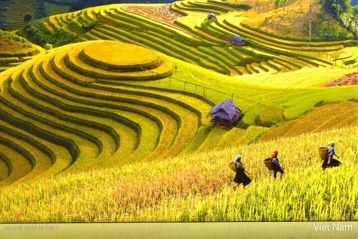 Sapa 2-Day Easy Trek: Muong Hoa Valley Trek & Homestay Experience photo 5