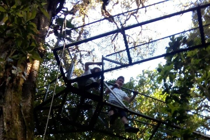 San Ramón Hanging Bridges & Zipline from Port Caldera — Canopy Adventure for Cruise Passengers photo 3