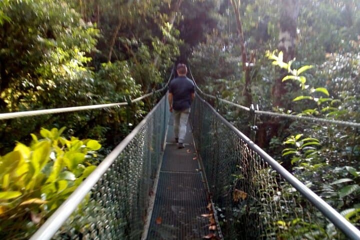 San Ramón Hanging Bridges & Zipline from Port Caldera — Canopy Adventure for Cruise Passengers photo 6