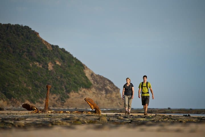 4-Day Great Ocean Walk Highlights: Guided Hike from Apollo Bay to the Twelve Apostles photo 2