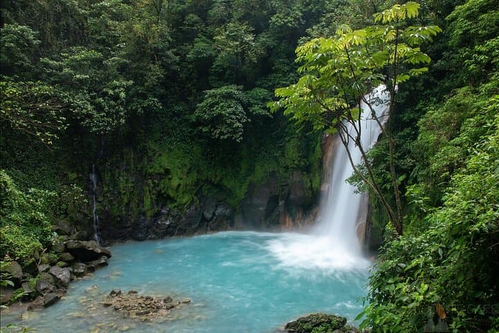 Río Celeste Blue River Waterfall & Rainforest Full-Day Tour from Playa Flamingo photo 2