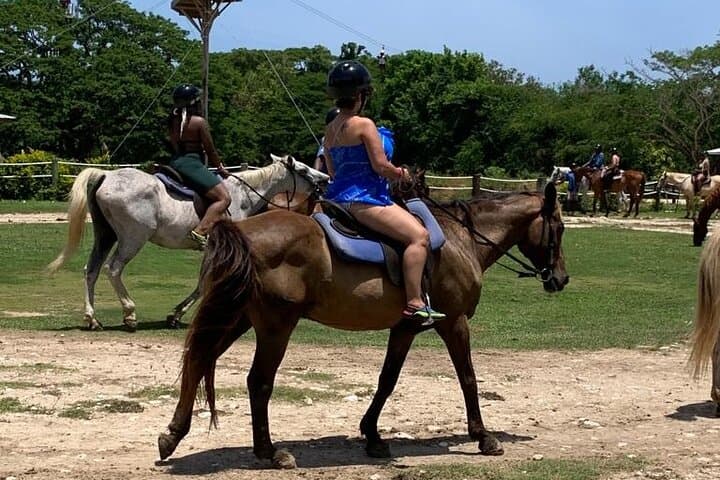 Montego Bay Triple-Threat: Zipline, Horseback-Into-Sea & ATV Adventure photo 1