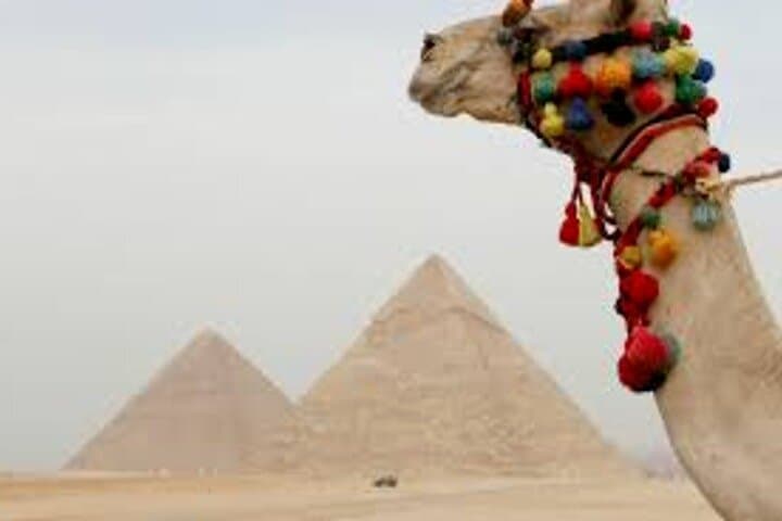 Full-Day Cairo Tour: Giza Pyramids, Egyptian Museum & Citadel