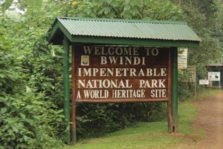 4-Day Private Gorilla Trekking in Bwindi Impenetrable Forest & Lake Bunyonyi photo 6