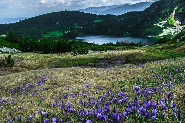 Guided Day Hike to the Seven Rila Lakes from Sofia photo 3