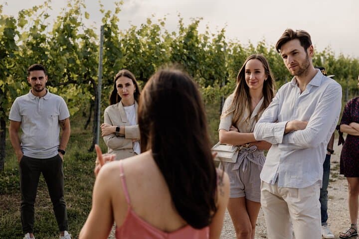 Three-Harvest Winery Tour and Interactive Wine Tasting in Veneto photo 2