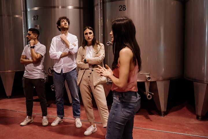 Three-Harvest Winery Tour and Interactive Wine Tasting in Veneto photo 3