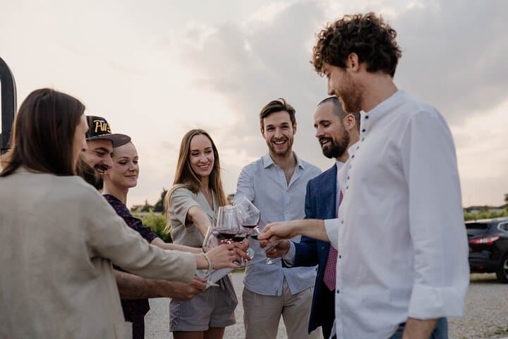 Three-Harvest Winery Tour and Interactive Wine Tasting in Veneto