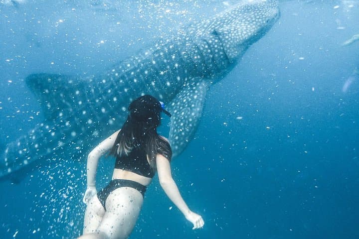 Discover South Malé Atoll: 9-Day Snorkel & Island-Hopping Adventure from Maafushi photo 3