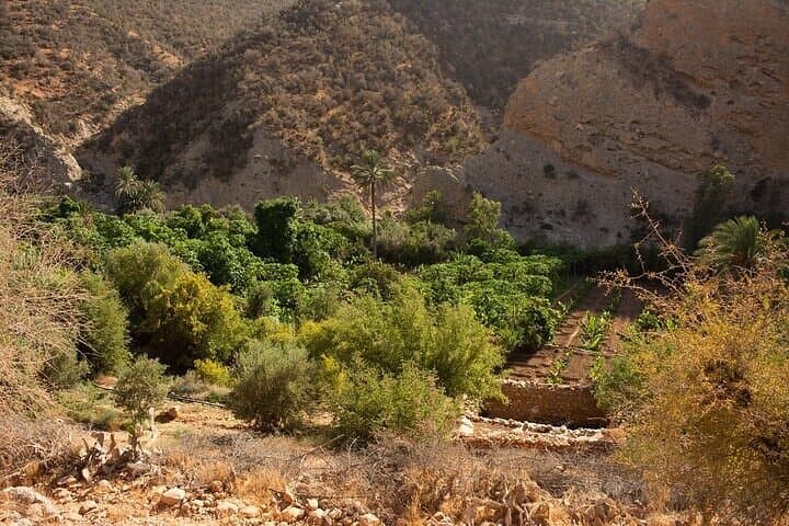 Paradise Valley & Sunset Camel Ride from Agadir — Half-Day Tour photo 6