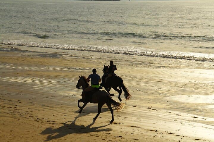Coastal Horseback Ride in Taghazout — Ocean Ranch Trail Near Agadir