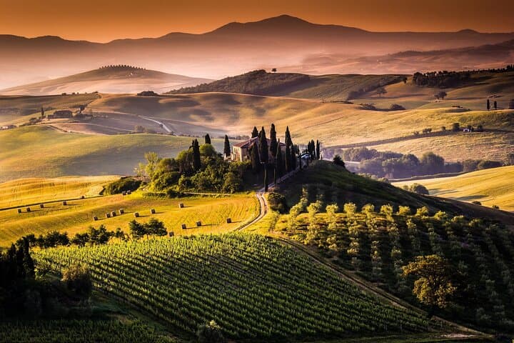 Tuscany Truffle & Brunello VIP Day Trip from Rome photo 5