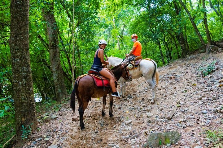 Puerto Vallarta Canopy Tour: 11 Zip Lines, 660-Foot Views & Mule Ride photo 4
